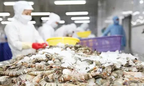 Bất ngờ về thủy sản Việt Nam xuất khẩu