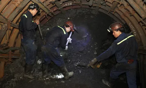 Lợi nhuận Than Vàng Danh giảm sút do bão Yagi