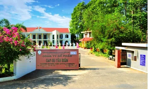 Lợi nhuận tăng vọt, Cao su Tân Biên sắp chi 176 tỷ đồng trả cổ tức