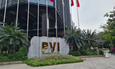 Soi danh mục đầu tư 17.600 tỷ đồng của Bảo hiểm PVI