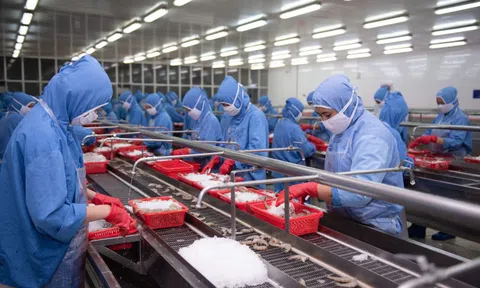 Sao Ta báo lãi tăng trưởng nhờ vụ tôm hiệu quả