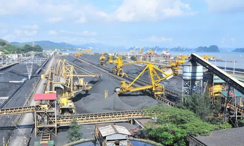 Coalimex làm ăn ra sao khi nhập hàng triệu tấn than mỗi năm?