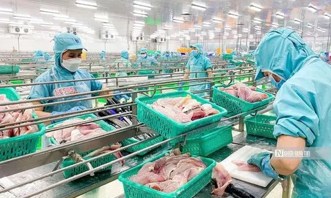 Biến số then chốt định hình bức tranh thủy sản Việt Nam