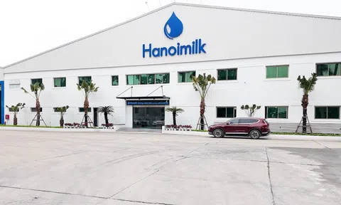 Chi phí lãi vay đè nặng lợi nhuận của Hanoimilk