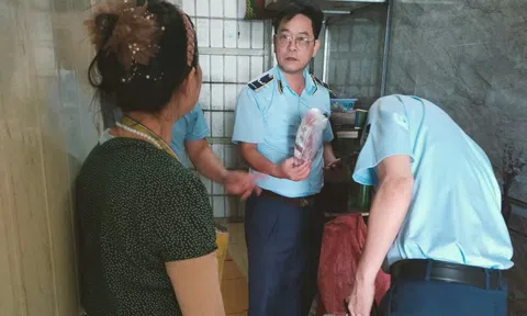 Thái Bình: Tiêu hủy hơn 300kg thực phẩm đông lạnh không rõ nguồn gốc, xuất xứ