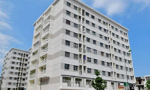 Nhiều căn nhà ở xã hội tại TP.HCM được rao bán với giá gấp 2- 3 lần chỉ sau vài năm bàn giao