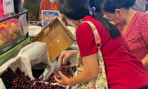 Giá cherry Mỹ bán tại TP HCM giảm chưa từng thấy