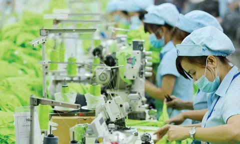 Dệt may Hòa Thọ báo lãi cao kỷ lục trong quý II/2025