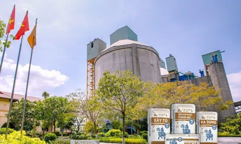 Vicem Hà Tiên bị xử phạt và truy thu thuế hơn 2,6 tỷ đồng