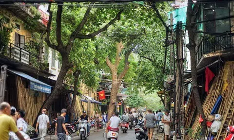 Một công ty bị thu hồi 2 cơ sở nhà, đất nằm trên khu đất "vàng" phố cổ Hà Nội