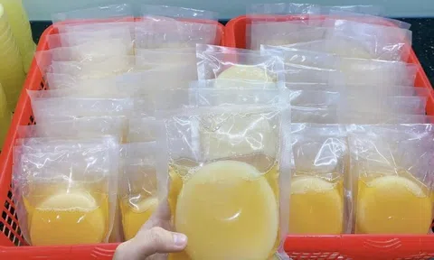 Tự làm kombucha - thức uống lên men 'healthy'