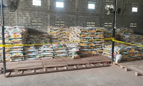 Đột kích một nhà máy, công an triệt phá đường dây sản xuất phân bón giả, bắt giữ giám đốc và tịch thu hàng trăm tấn sản phẩm