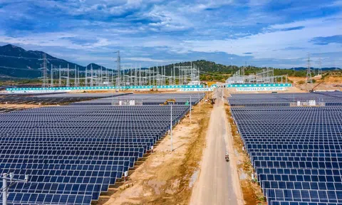 Trung Nam Thuận Nam báo lãi hơn 138 tỷ đồng trong năm 2024