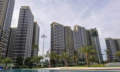 Ai đang mua chung cư cả trăm triệu đồng/m2?