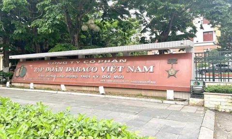 “Đại gia” chăn nuôi Bắc Ninh sắp phát hành hơn 50 triệu cổ phiếu trả cổ tức