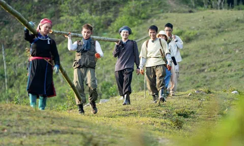 Doanh nghiệp đứng sau "Gia đình Haha" báo lãi cao nhất 7 năm