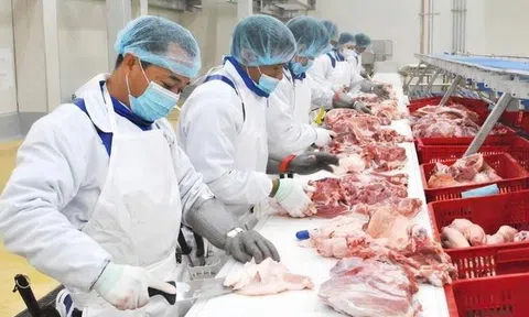 Ông chủ heo ăn chay BAF lãi lớn nhất lịch sử kinh doanh