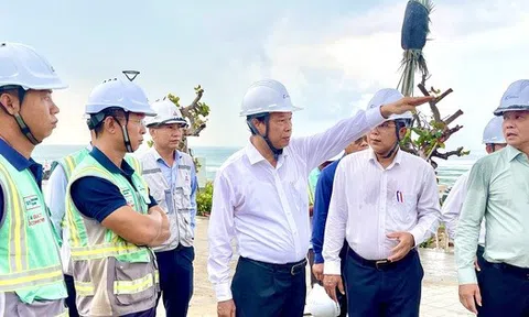 "Bộ mặt mới" Bãi Sau sẽ xuất hiện trước ngày 15-8