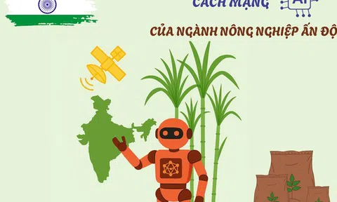 Khi loại nông sản tỷ đô của Ấn Độ gặp khó: AI, dữ liệu vệ tinh, cảm biến đất, máy bay không người lái lập tức vào cuộc