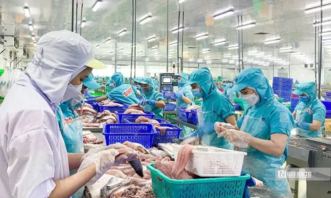 Doanh nghiệp thủy sản tăng tốc, nhưng "bài toán Mỹ" vẫn là ẩn số lớn