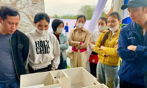 Tin vào suất ngoại giao nhà ở xã hội, cặp vợ chồng trẻ tá hỏa khi mất hơn 270 triệu đồng