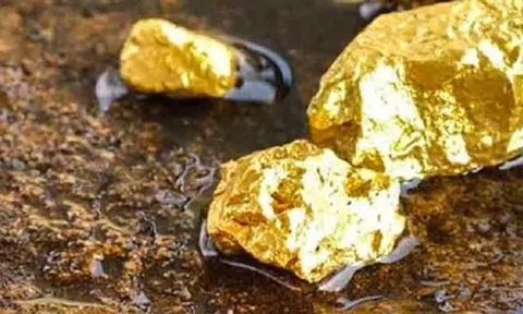 Việt Nam có những mỏ vàng nào?