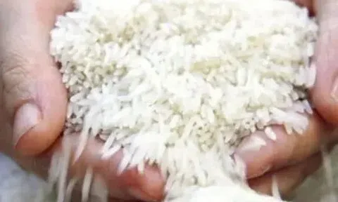 Gạo Ấn Độ rớt giá sâu, Việt Nam đứng vững