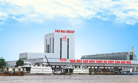 Sao Mai báo lãi teo tóp, tiền mặt “bốc hơi” một nửa
