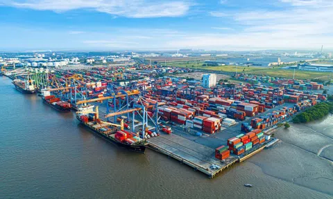 Vận tải Hải An hoàn tất tham vọng tăng vốn điều lệ