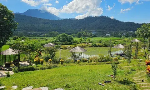 Rủ nhau đi xem đất thời 100.000 đồng/m2, nay giá tăng 200 lần: Người có chục mảnh vườn thả gà nuôi cá, người chê đắt vẫn "tay trắng"