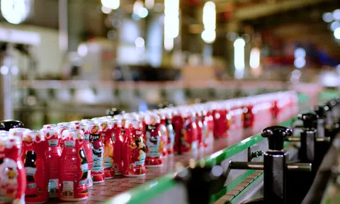 “Đốt” hơn 750 tỷ đồng cho bán hàng, Sữa LOF báo lỗ sau nhiều năm