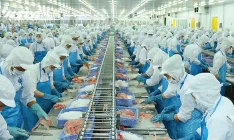 Xuất khẩu thủy sản tăng mạnh, VASEP vẫn lo thuế đối ứng