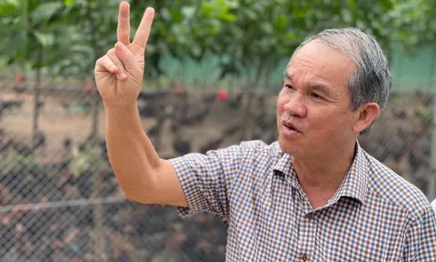 Thương vụ "cha bán - con mua" hàng trăm tỷ đồng tại HAGL của gia đình bầu Đức