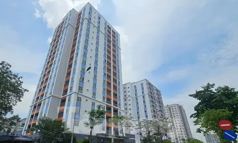 Chi 40 tỷ đồng cải tạo khu tái định cư bỏ hoang nhiều năm trên 'đất vàng' Hà Nội