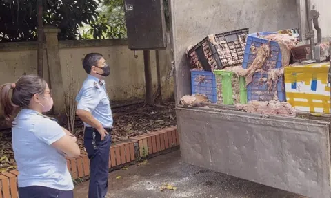 Hà Nội: Phát hiện ô tô vận chuyển hơn 2 tấn mỡ và da bò không rõ nguồn gốc