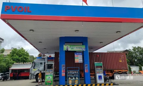 PV Oil vẫn chờ thủ tục phá sản tại dự án Nhiên liệu sinh học Phú Thọ