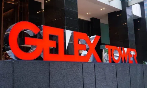 Kinh doanh khởi sắc, GELEX dự chi hơn 720 tỷ đồng trả cổ tức