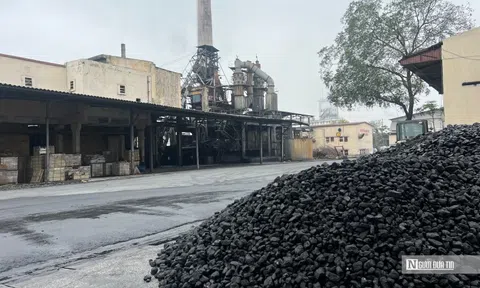 Phân lân Văn Điển đứng trước nguy cơ hủy niêm yết