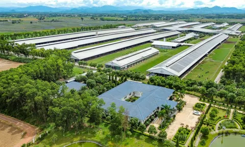 Vinamilk được vinh danh là thương hiệu sữa tiềm năng nhất thế giới