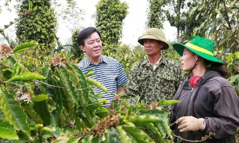 Bình Điền: Hành trình hơn nửa thế kỷ phụng sự nông dân và tầm nhìn tiên phong xanh hóa - số hóa