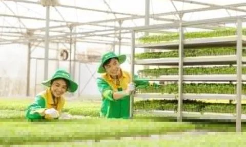 WinEco gắn kết nông nghiệp sạch vì sức khỏe cộng đồng