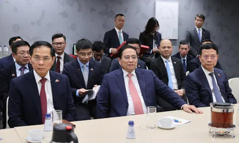 Thành lập tổ công tác xây dựng chính phủ số Việt Nam - Estonia