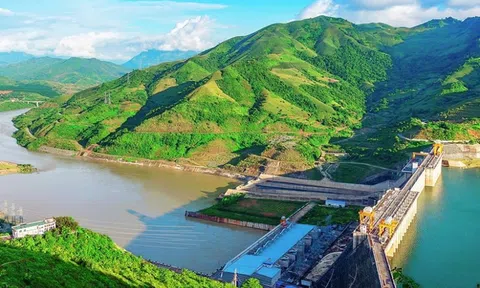 Năng lượng Bắc Hà báo lãi sụt giảm