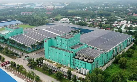 Sợi Thế Kỷ và "canh bạc" vay nợ cho dự án Unitex