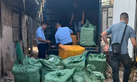 Hà Nội: Phát hiện gần 1 tấn trứng gà non, tràng gà không rõ nguồn gốc