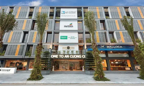 Gỗ An Cường thành lập công ty con chuyên sản xuất gỗ dán