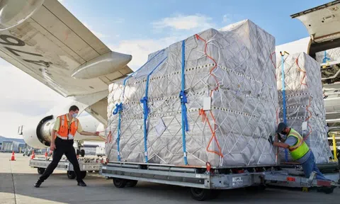 Chưa từng có: Apple vừa chuyển 600 tấn iPhone, tương đương 1,5 triệu thiết bị về Mỹ, mọi khâu thực hiện đều thần tốc không tưởng