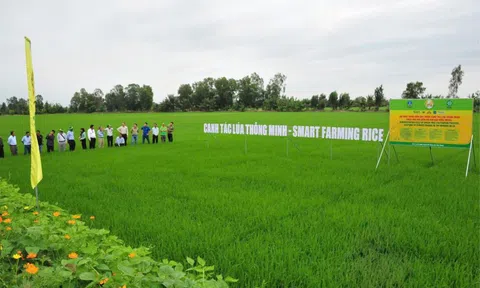 Đầu Trâu Bio-Canxi: Vì một nền nông nghiệp bền vững