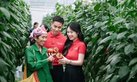 Agribank – Ngân hàng của nông nghiệp, nông thôn và khát vọng phát triển bền vững