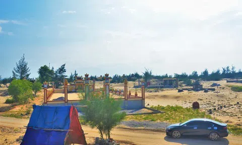 "Xẻ thịt" rừng ven biển để làm nghĩa địa gia tộc